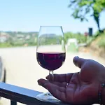 아파트 Profumo Di Vigna - Roero