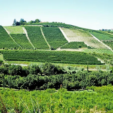 Lägenhet Profumo Di Vigna - Roero *