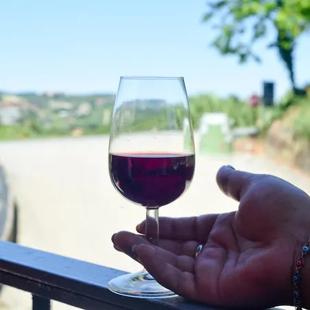 Daire Profumo Di Vigna - Roero