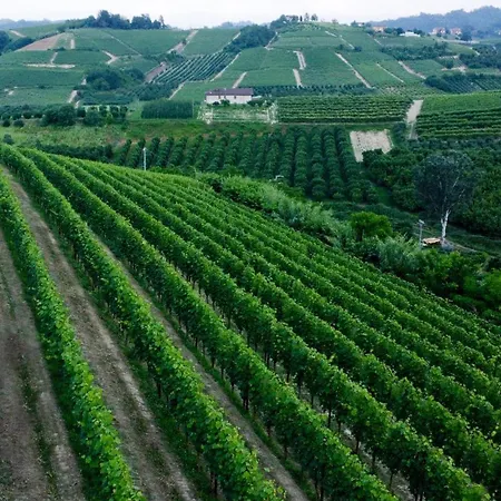 Apartamento Profumo Di Vigna - Roero *