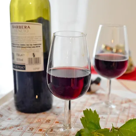 Profumo Di Vigna - Roero Apartamento