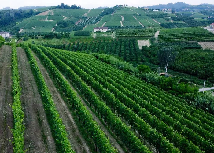 Lägenhet Profumo Di Vigna - Roero *