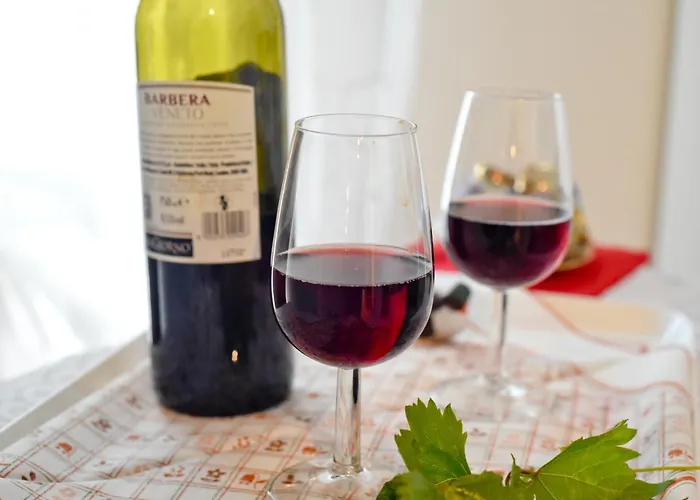 Profumo Di Vigna - Roero Lägenhet